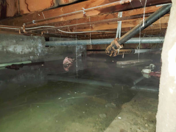 Best Water damage restoration near me  in Northfield, KY