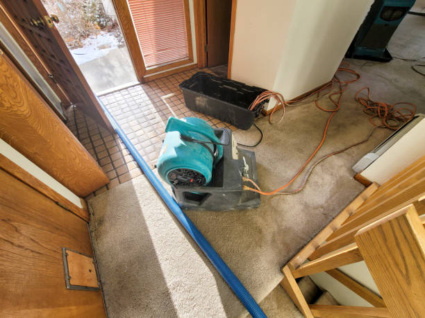 Best Emergency water damage restoration  in Northfield, KY
