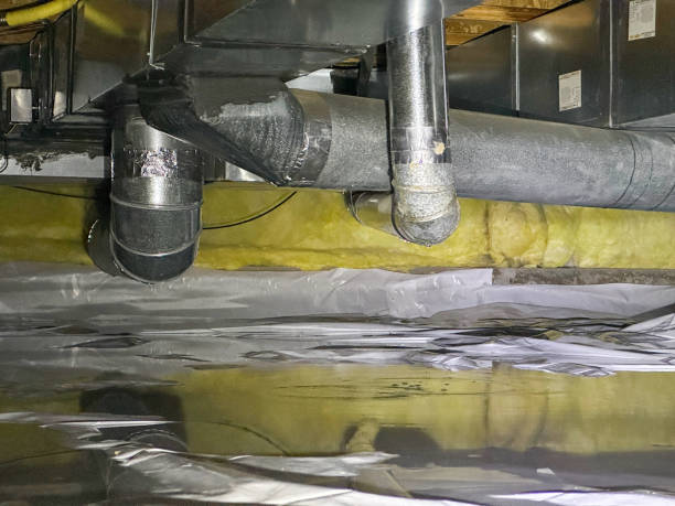 Best Water damage restoration near me  in Northfield, KY