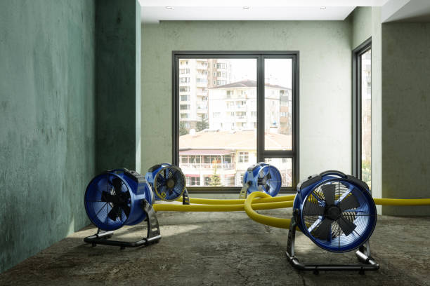Best 24/7 water damage repair  in Northfield, KY